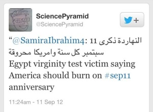Samira Ibrahim's Tweet 